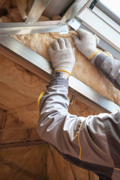 Best Professional Insulation Contractor  in Freeport, TX