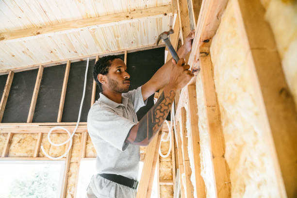 Best Local Insulation Services  in Freeport, TX