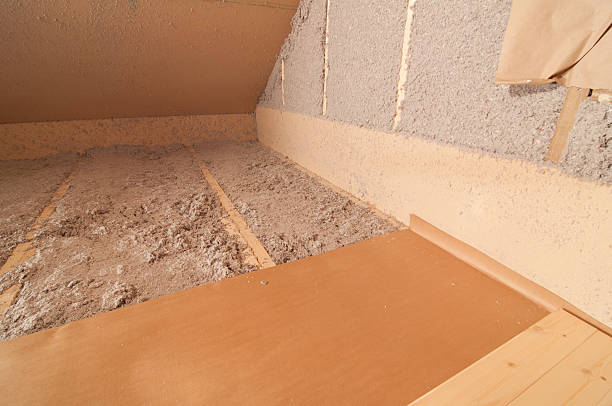 Best Garage Insulation Installation  in Freeport, TX