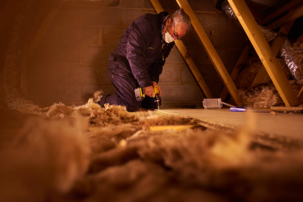 Best Blown-in Insulation  in Freeport, TX